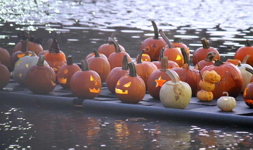 fall pumpkin float